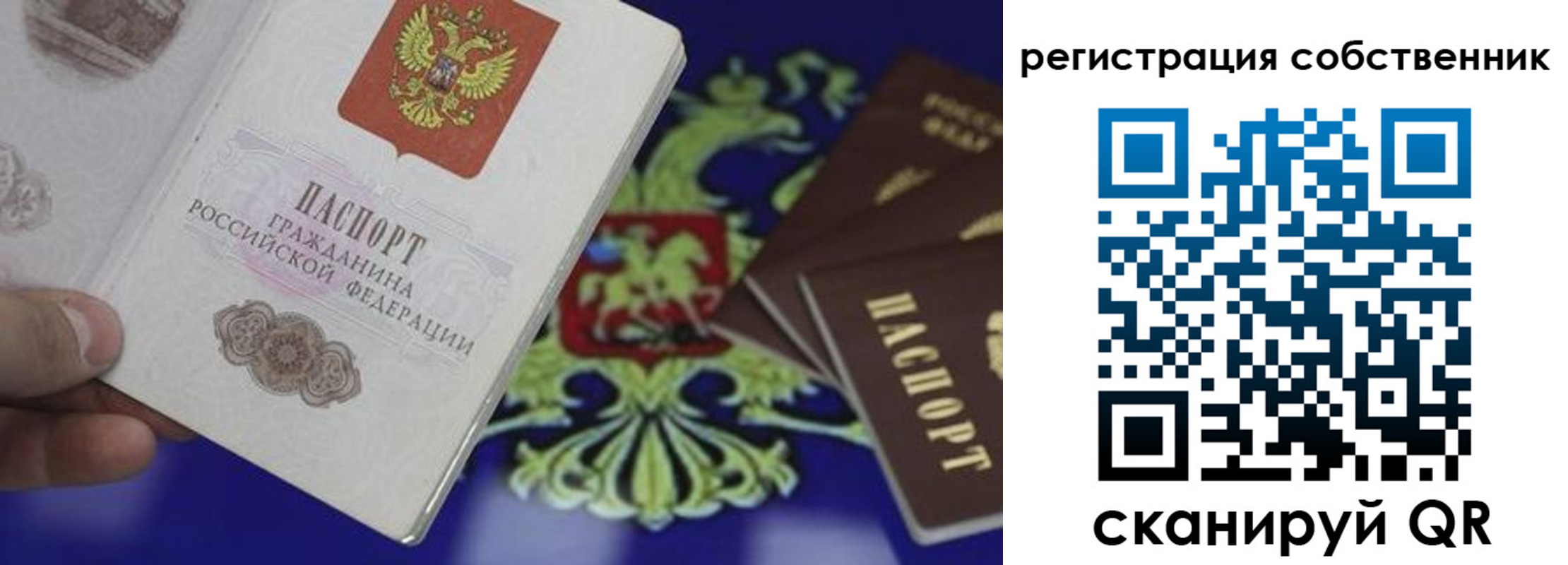 временная регистрация надежно в Владимире
